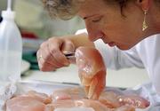 Tips To Identify Rotten Chicken